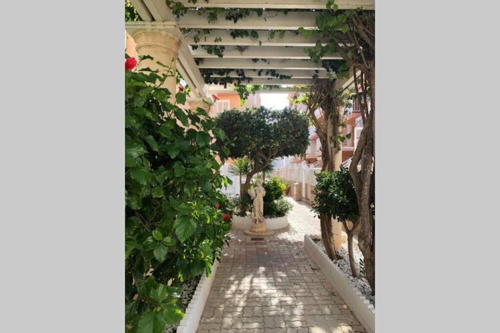 Beach Dream Apartment La Mata (Torrevieja) Exterior foto